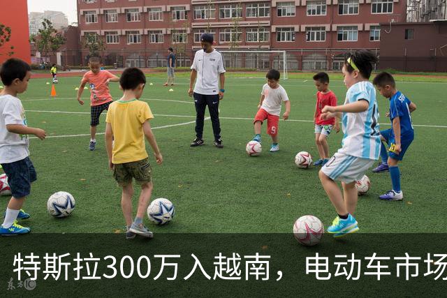 特斯拉300万入越南，电动车市场的潜在赢家！
